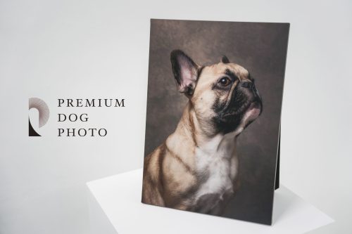 A9_09440 のコピー